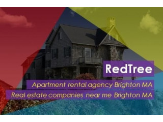 The Best apartment rental agency Brighton MA helps to have an ideal apartment