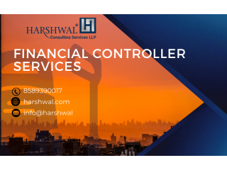 Expert Financial Controller Services - Virtual Solutions