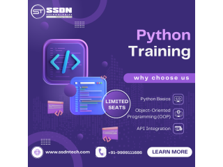 Python programming online in boston