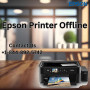 epson-printer-offline-1-844-892-5742-epson-printer-support-small-0