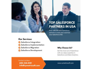 Top Salesforce Partners in USA