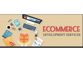 Increase Digital Growth with our Professional E-commerce Web Development Agency Services