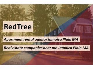 Pick a Spacious and 1 Bed Ready to Move In Home Hiring an Apartment Rental Agency Jamaica Plain MA
