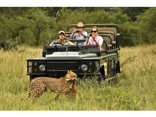 Book Your Bespoke African Safari Adventure with Love Africa Travel