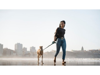 Buying A Hands-Free Dog Leash Online