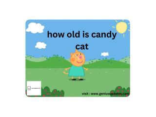 Unraveling the Mystery: How Old is Candy Cat?