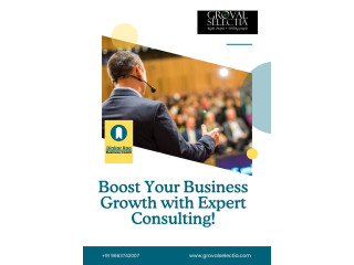 Boost Your Business Growth with Expert Consulting!