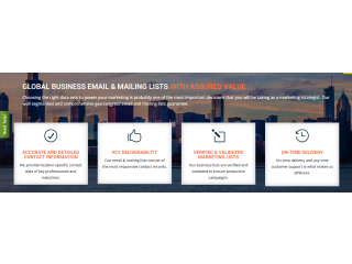Get Egypt Mailing List – Target Egyptian Businesses Today