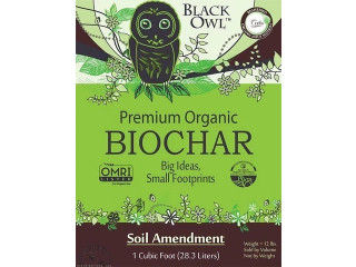 Exploring Bio Charcoal for Sustainable Gardening Practices