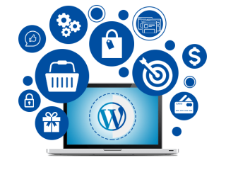 WordPress Website Design & Development Services