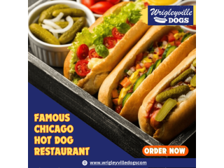 "Discover Authentic Chicago Hot Dogs at Wrigleyville Dogs!"