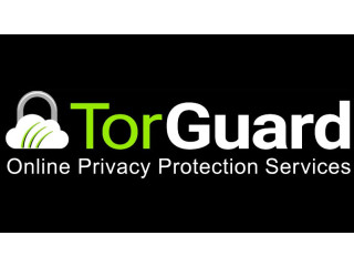 Celebrate Independence Day with TorGuard: Get 60% Off Pro VPN Plans!