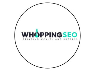 Best Company for SEO services in Frisco