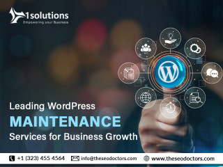 Leading WordPress Maintenance Services for Business Growth