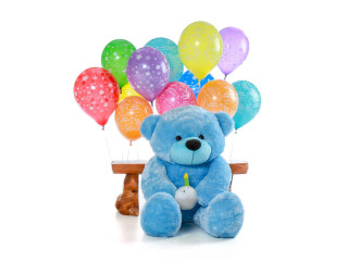 Special Teddy Bear for Birthday Celebrations