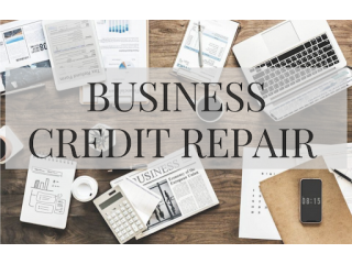 Build Business Credit with Reliant Credit Repair