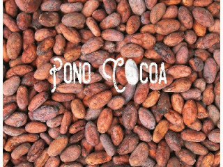 Pono Cocoa (ponococoa)