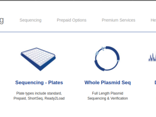 Reliable Plasmid Sequencing Services
