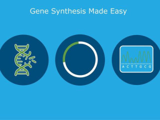 Efficient Plasmid Synthesis for Genetic Research