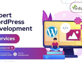 Expert WordPress Development Services | Info Stans
