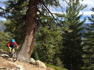 Lake Tahoe Mountain Biking Adventure Gear Up for Epic Trails