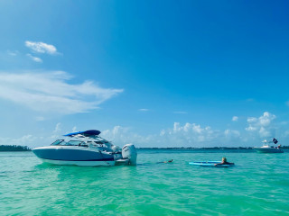 Boat tours annamaria island