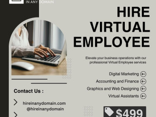 Hire Dedicated Virtual Employee in Any Domain