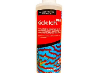 Effective Reef Safe Ich Treatment for Healthy Marine Aquariums