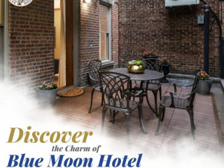 Discover the Charm of Hotel Blue Moon: A Gem Among Small Hotels in NYC