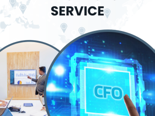 Professional Virtual CFO Services for Financial Success