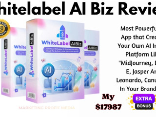 Whitelabel AI Biz Review – Creates Your Own AI Image Platform