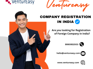 Expert Subsidiary Company Setup in India