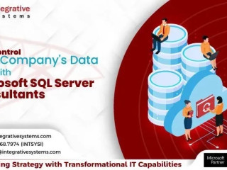 Expert SQL Server Consultancy