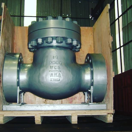 check-valve-manufacturers-in-usa-big-0