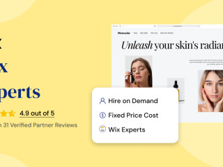 Hire Wix Developers for Stunning Websites
