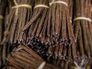 Premium Madagascar Vanilla Beans Available