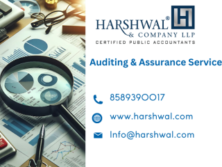 Top Auditing & Assurance Services With Harshwal & Company LLP