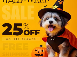 Halloween Day Sale LIVE NOW! Grab 25% Discount | Free Shipping