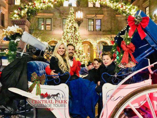 Enchanting Central Park Christmas Lights Carriage Tours