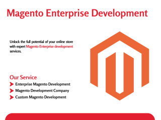 Certified Magento Enterprise Development | Custom E-commerce Solutions