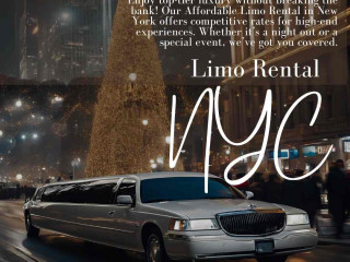 Christmas Limo Service