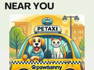 Reliable Pet Taxi Services Near You | Safe & On-Time Transport