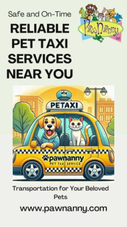 reliable-pet-taxi-services-near-you-safe-on-time-transport-big-0