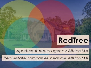 Apartment Rental Agency Allston MA Can Help You Discover Hidden Treasures