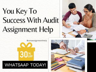 Best Auditing Assignment Help