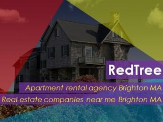 Select a Rental Place Hiring an Apartment Rental Agency Brighton MA