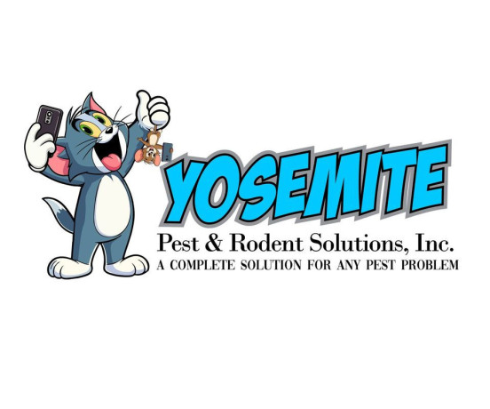 expert-pest-control-services-in-yorkville-il-big-0