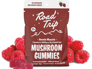 Buy Road Trip Amanita Muscaria Mushroom Gummies at ELYXR