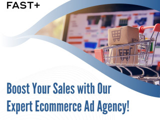 Boost Your Sales with Our Expert Ecommerce Ad Agency!