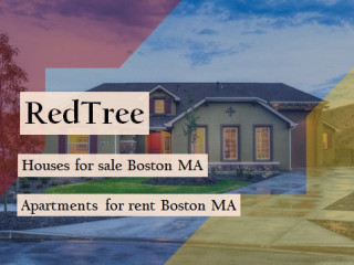 Looking for Modern Houses for Sale Boston MA? Red Tree Can Guide